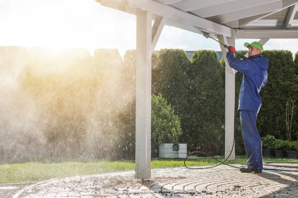 Best Dumpster Area Cleaning  in Graysville, TN